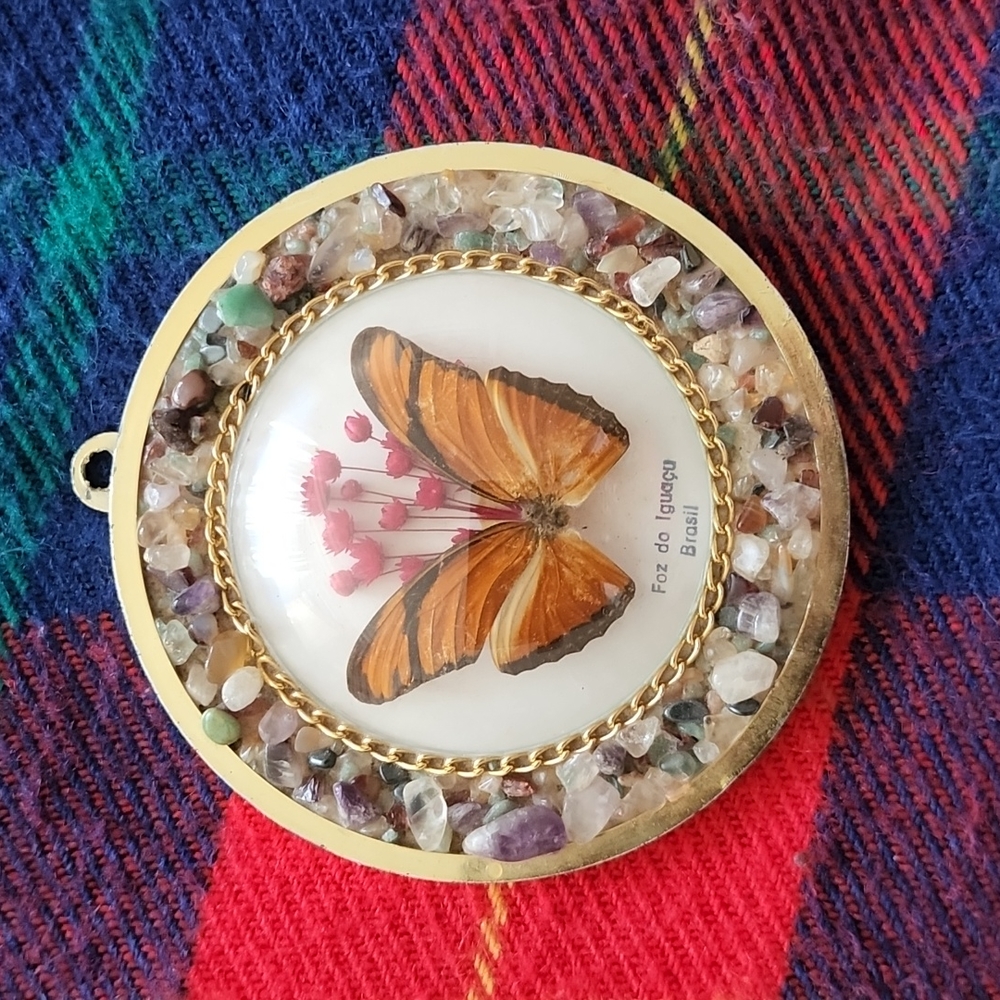 Butterfly decorative art